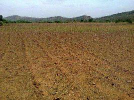 Industrial Land for Sale in Sojitra, Anand