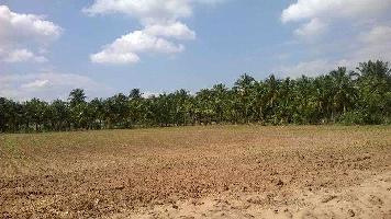 Industrial Land for Sale in Mahemdavad, Kheda