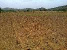 Industrial Land for Sale in Metoda, Rajkot