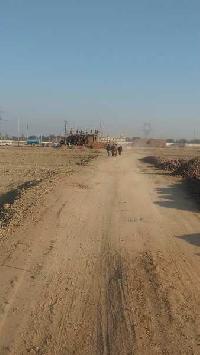 Agricultural Land For Sale In Bayad, Sabarkantha