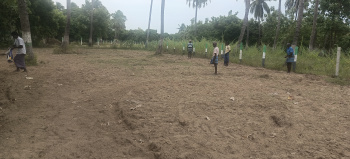 174400 Sq.ft. Agricultural/Farm Land for Sale in Marakkanam, Villupuram