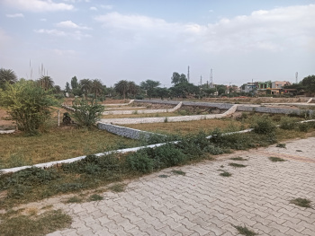 17000 Sq. Yards Residential Plot For Sale In Tappal, Aligarh