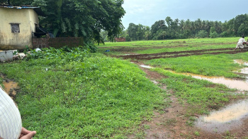 50 Guntha Agricultural/Farm Land for Sale in Malwan, Sindhudurg