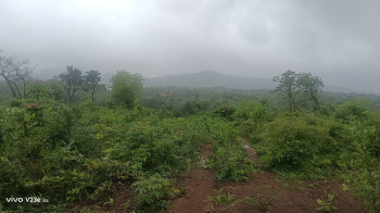 Agriculture plot for sale in sawantwadi bhatwadi