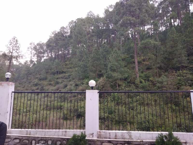 2 BHK Flats & Apartments for Sale in Bhowali, Nainital (1560 Sq.ft.)