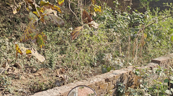 Property for sale in Deokali, Faizabad