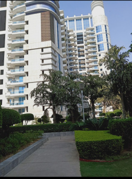 4bhk apartment for sale in DLF The Belaire sector 54 gurgaon