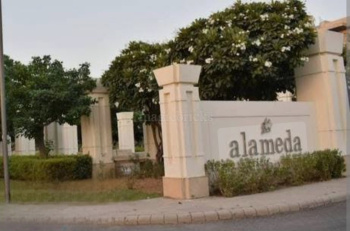 250sq.yd. plot for sale in DLF Almeda sector 73 gurgaon