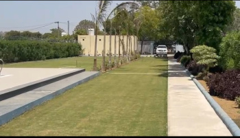 2700sq.yd. farmhouse for sale in Best Western Country club pachgaon Gurgaon