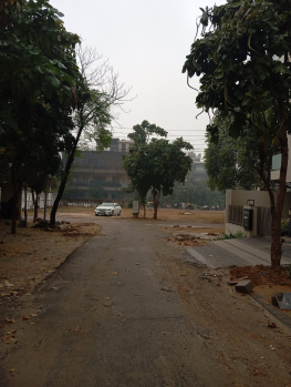 222sq.yd plot for sale in C block Mayfield garden sector 50 gurgaon