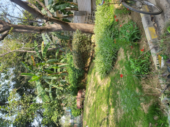 500sq.yd main road plot in Greenwood City sector 45 gurgaon