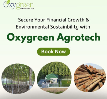Oxygreen farm  Fun with Income, 1.5 CR return Without land sale.