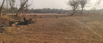 4000 Sq.ft. Residential Plot for Sale in Masturi, Bilaspur