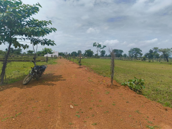 Property for sale in Khamtarai, Bilaspur