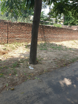 300 Sq. Yards Residential Plot for Sale in Sunil Park, Ludhiana