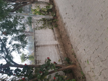 2000 Sq. Yards Residential Plot for Sale in Guru Teg Bahadur Nagar, Ludhiana