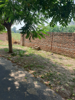 100 Sq. Yards Residential Plot for Sale in BRS Nagar, Ludhiana