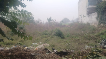 250 Sq. Yards Residential Plot for Sale in Bhai Randhir Singh Nagar, Ludhiana