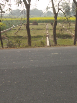 Commercial Lands /Inst. Land for Sale in Nehar Par, Faizabad (5700 Sq.ft.)