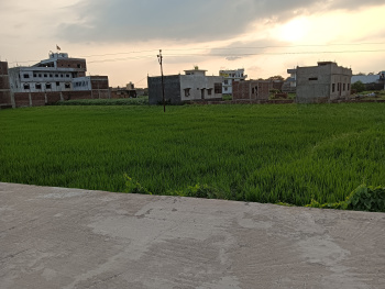 Commercial Lands /Inst. Land for Sale in Ayodhya Bypass, Faizabad (13000 Sq.ft.)