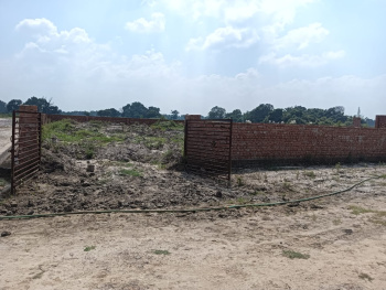 Residential Plot for Sale in Ayodhya, Faizabad (1250 Sq.ft.)