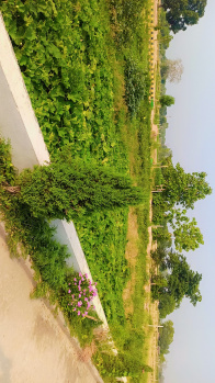 Residential Plot for Sale in Rahmatnagar, Lucknow (1000 Sq.ft.)