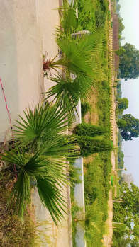 Residential Plot for Sale in Rahmatnagar, Lucknow (1250 Sq.ft.)