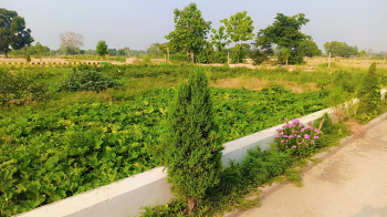Residential Plot for Sale in Sultanpur Road, Lucknow (2500 Sq.ft.)