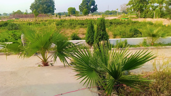 Residential Plot for Sale in Sultanpur Road, Lucknow (3000 Sq.ft.)