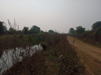 1.5 Acre Agricultural/Farm Land for Sale in Khapa, Nagpur