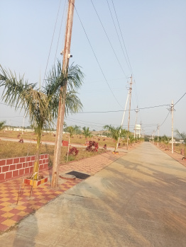 590 Sq.ft. Residential Plot for Sale in Rau, Indore