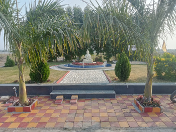 807 Sq.ft. Residential Plot for Sale in Rau, Indore