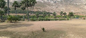 1500 Sq.ft. Residential Plot for Sale in Rajgir, Nalanda
