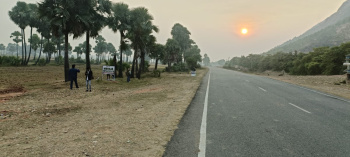 1800 Sq.ft. Residential Plot for Sale in Rajgir, Nalanda