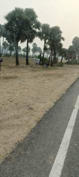Property for sale in Rajgir, Nalanda