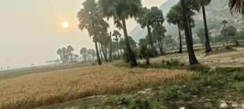 2100 Sq.ft. Residential Plot for Sale in Rajgir, Nalanda