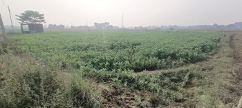 Property for sale in Bihta, Patna