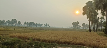 Property for sale in Bihta, Patna