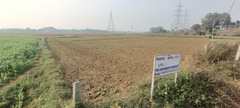 1800 Sq.ft. Residential Plot for Sale in Patna