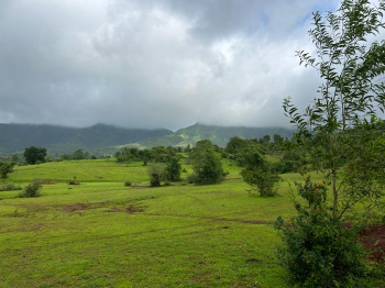 Kamshet Plot near old mumbai highway