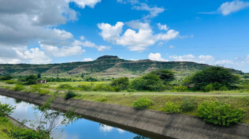 WATER CANAL TOUCH 50 ACRE FOR SALE