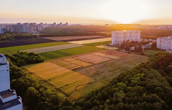 Commercial Lands /Inst. Land for Sale in Bakori Road, Pune (68000 Sq.ft.)