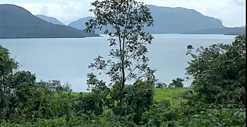 Agricultural/Farm Land for Sale in Mulshi, Pune (2.5 Acre)