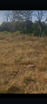 11 Bigha Residential Plot for Sale in Jodi Gaon, Dehradun