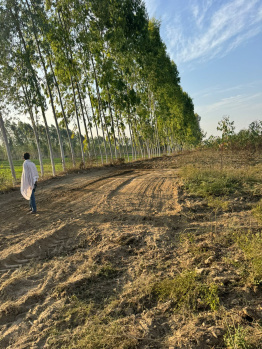 Property for sale in Behat, Saharanpur