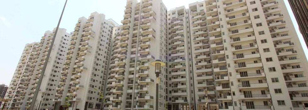 3 BHK Apartment for Rent in Gurgaon