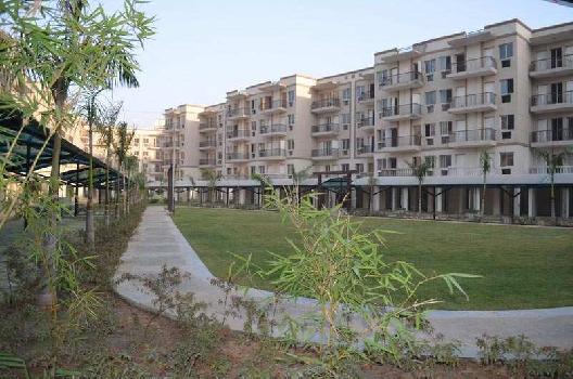 3 BHK Flat For Sale In Sector 92 Gurgaon