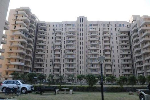 3 BHK Flat For Sale In Sector 46, Gurgaon