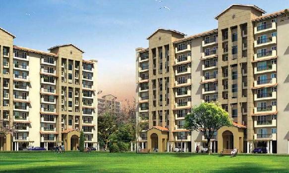 2 BHK Flat For Rent In Sector 66 , Gurgaon