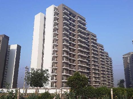 3 BHK Apartment for Sale in Sector-67 Gurgaon